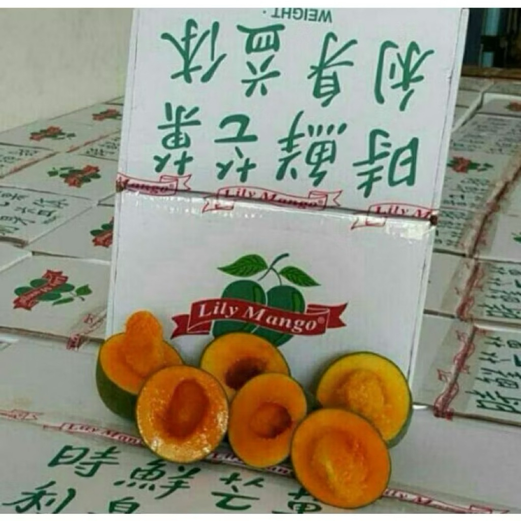 

Mangga Lily Suluhan | Mangga Lily super Fresh 2kg