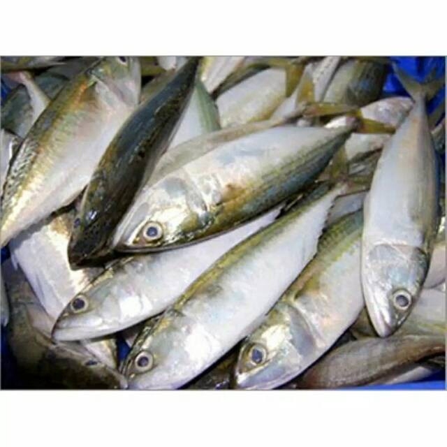 

Ikan kembung 500 gram