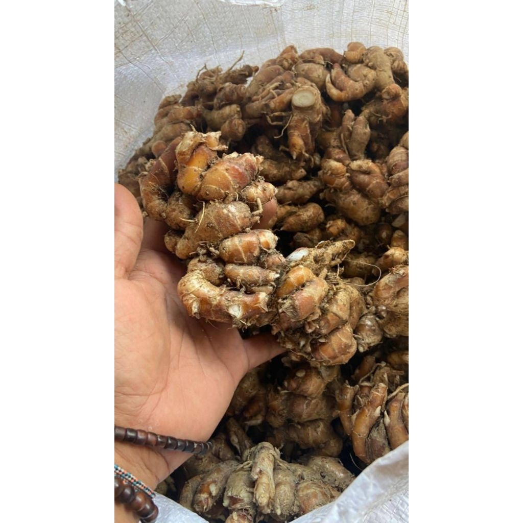 

kencur fresh berat 500g/ Kencur Boyolali/ rempah rempah indonesia