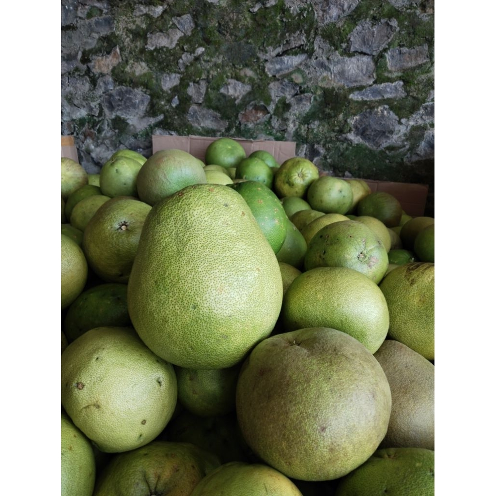 

jeruk bali madu/jeruk pamelo madu muria,Beli 1 gratis 1 , bergaransi