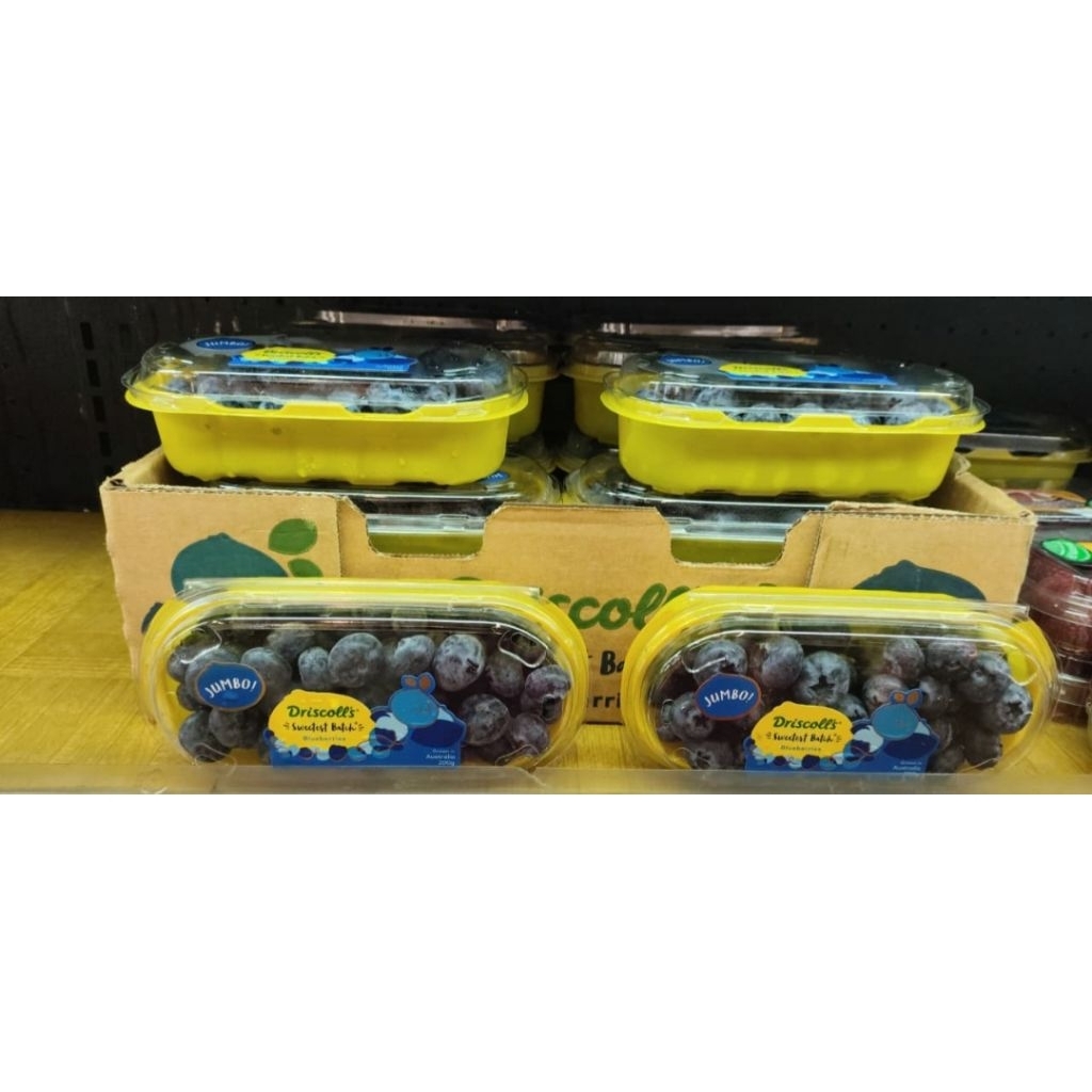 

Buah Blueberry Driscoll Australia Sweet Jumbo 200 grm
