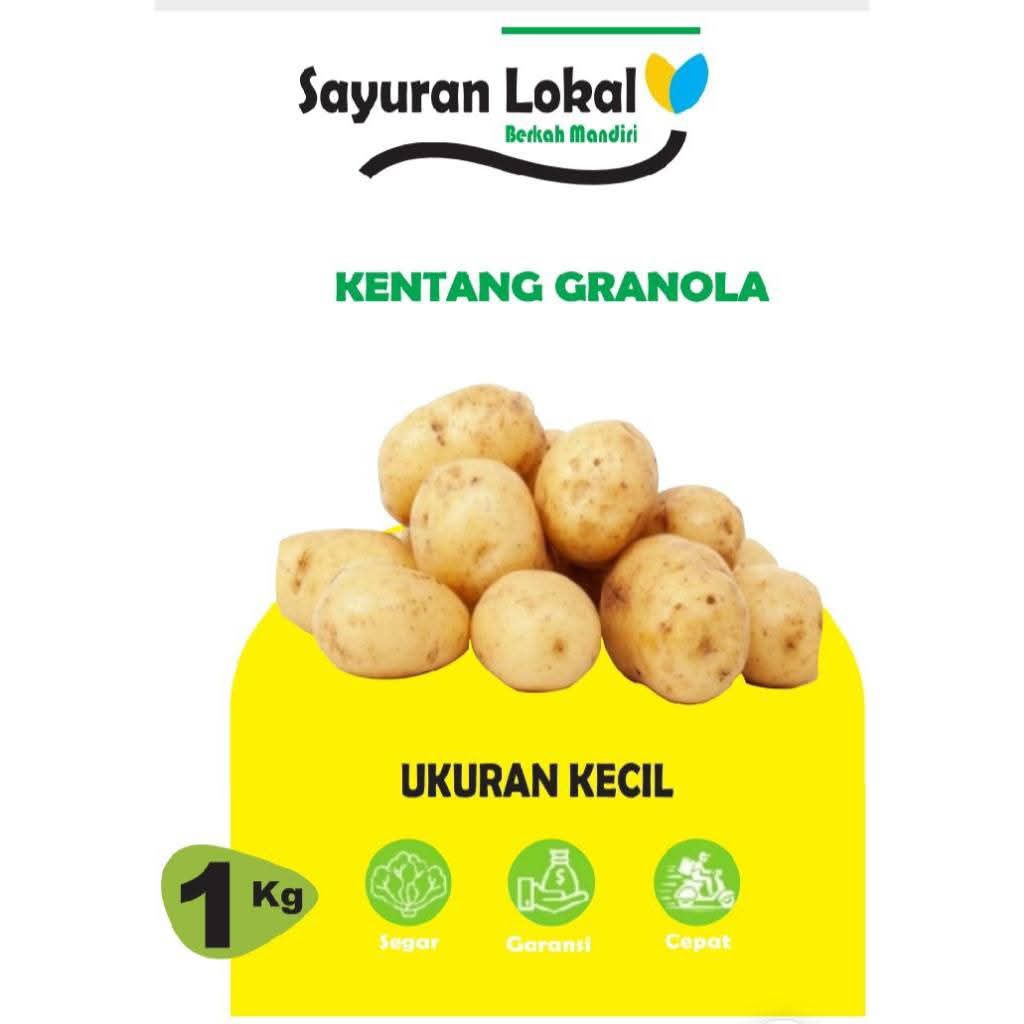 

Terlaris No.1 Kentang Segar Ukuran Kecil 1kg (Ukuran Bola Pingpong)