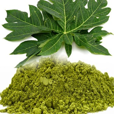 

bubuk daun pepaya organik 100% original tanpa pengawet
