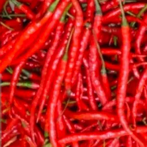 

cabe keriting merah 1 kg