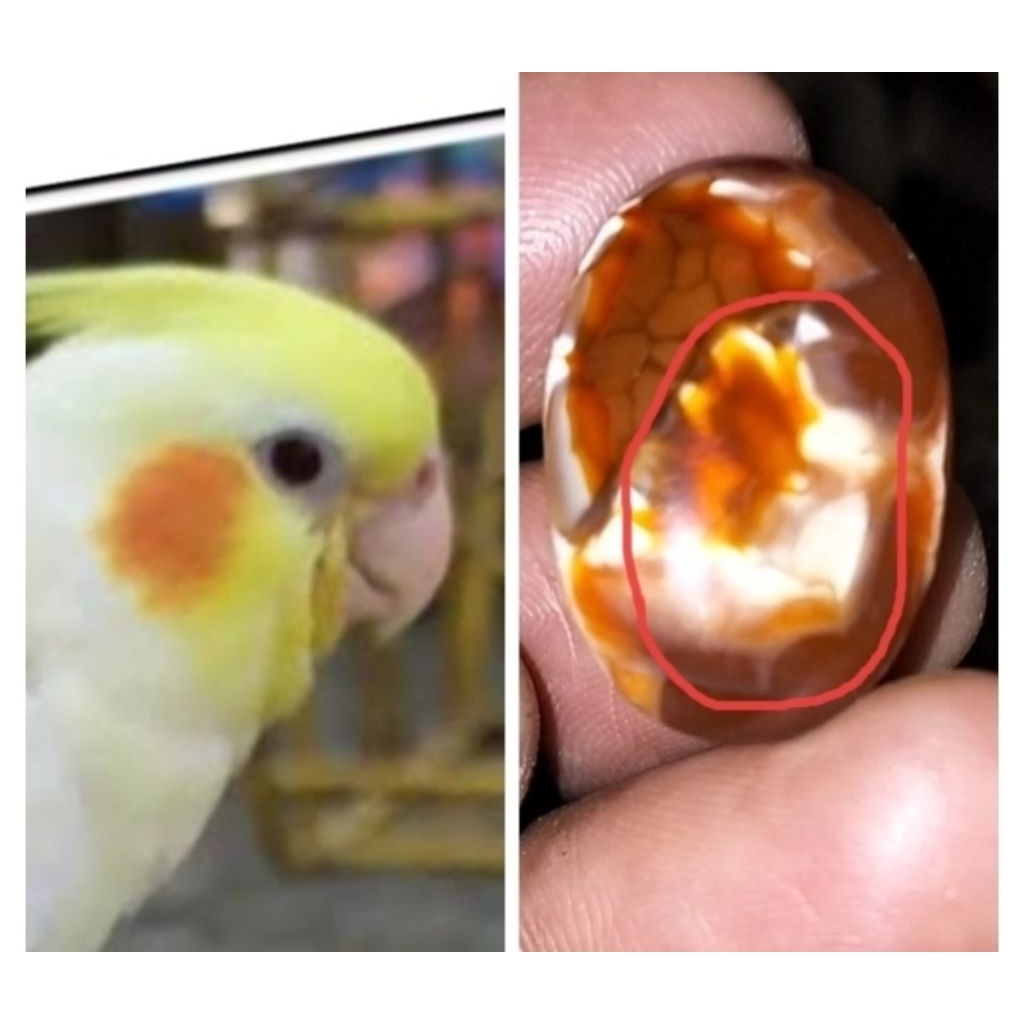 Batu akik bergambar asli alam