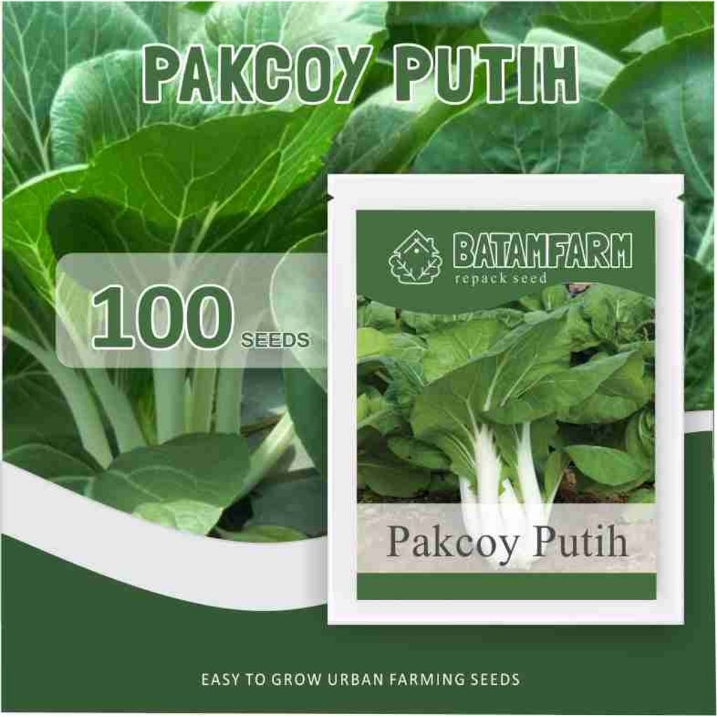 Benih Bibit Pakcoy Putih