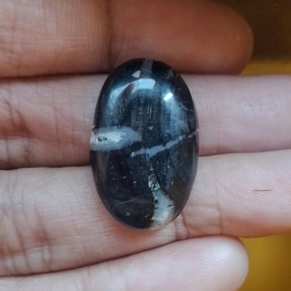 Natural Batu Fosil Kelor Hitam Tapak Jalak Tembus