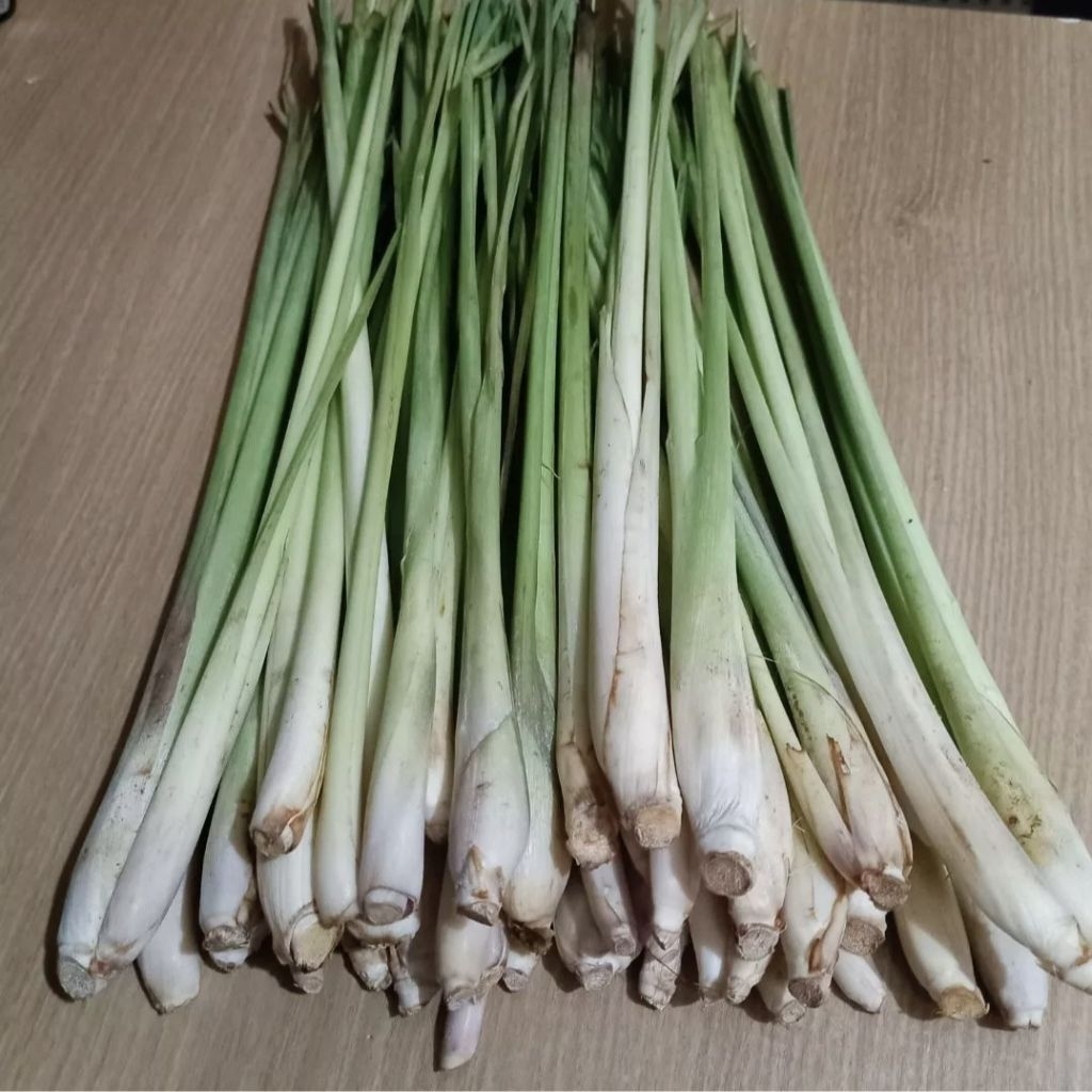 

Serai/sereh segar 500gram, serai diambil langsung dari kebun, sereh bumbu/herbal/rempah2/sayuran dll, serai bangkok pilihan