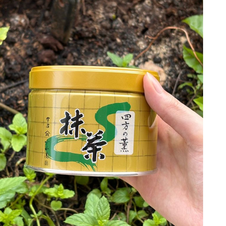 

[READY] YAMAMASA KOYAMAEN UJI MATCHA SAMIDORI & YOMO NO KAORI REPACK