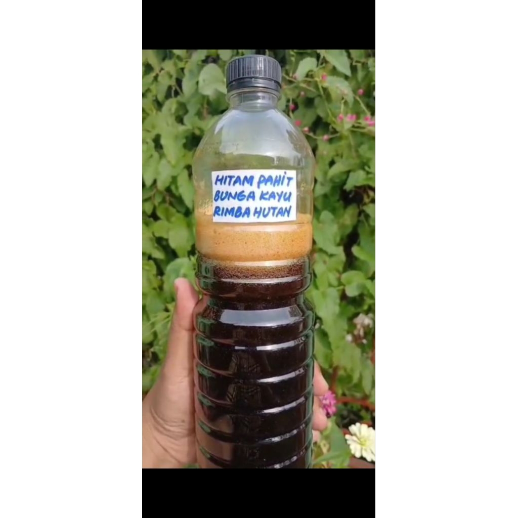 

Madu Hitam Pahit Lebah Liar