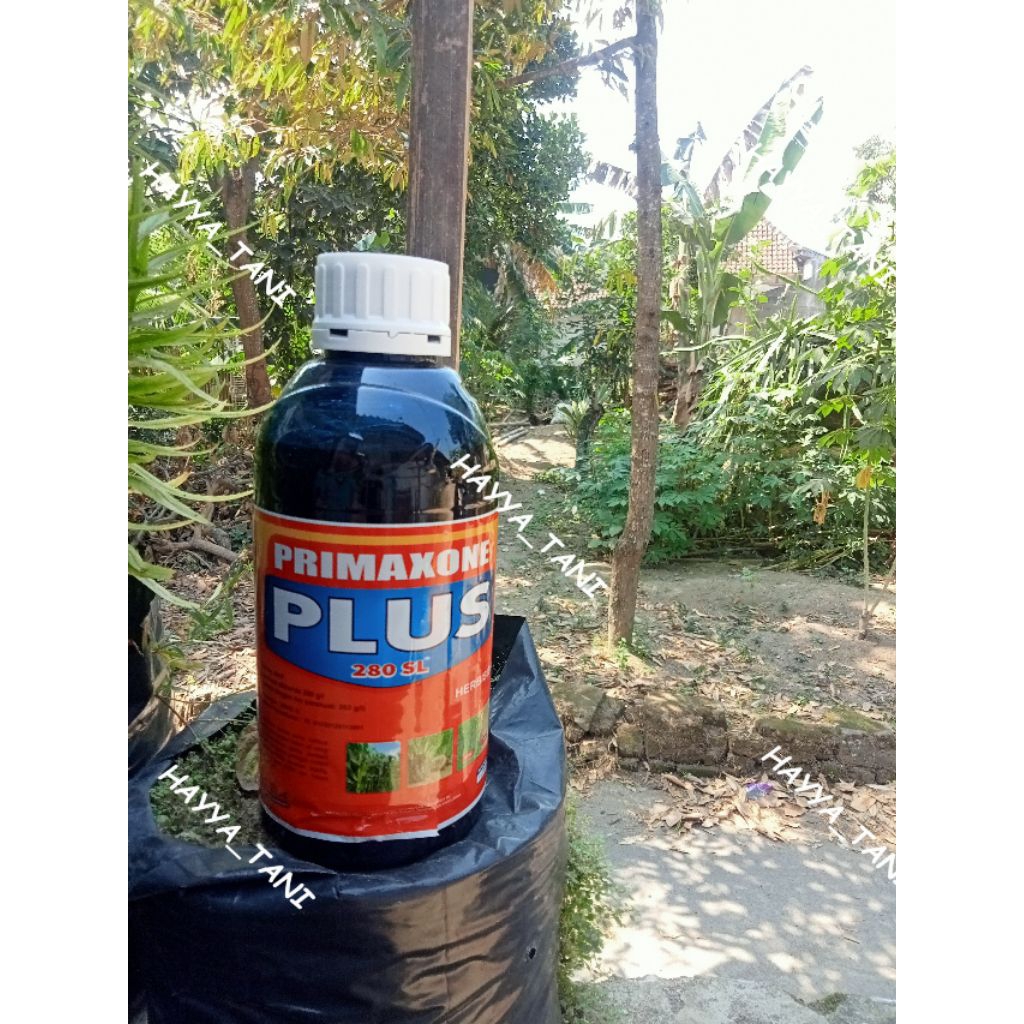 PRIMAXONE PLUS 280SL Herbisida