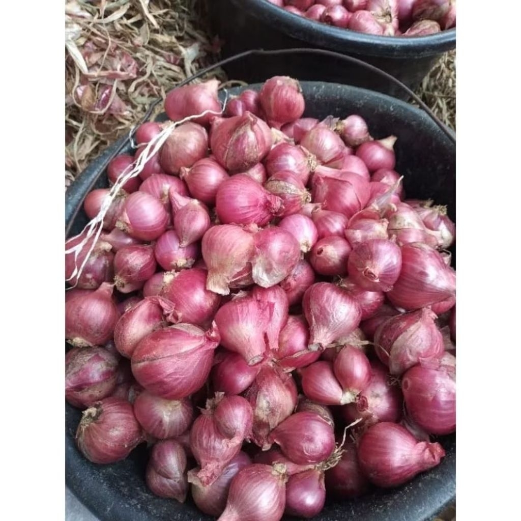 

Bawang Merah Super