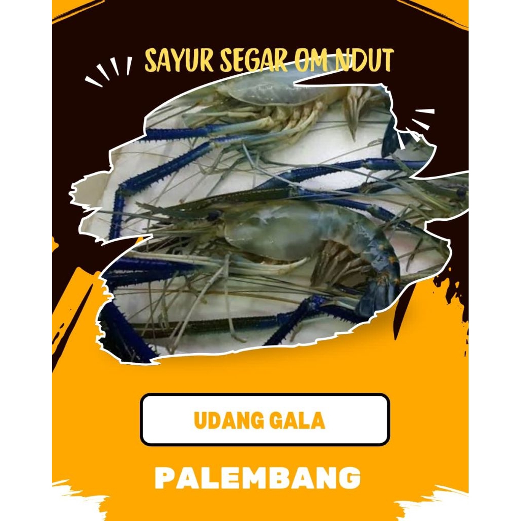 

UDANG GALA / SATANG - INSTAN PALEMBANG