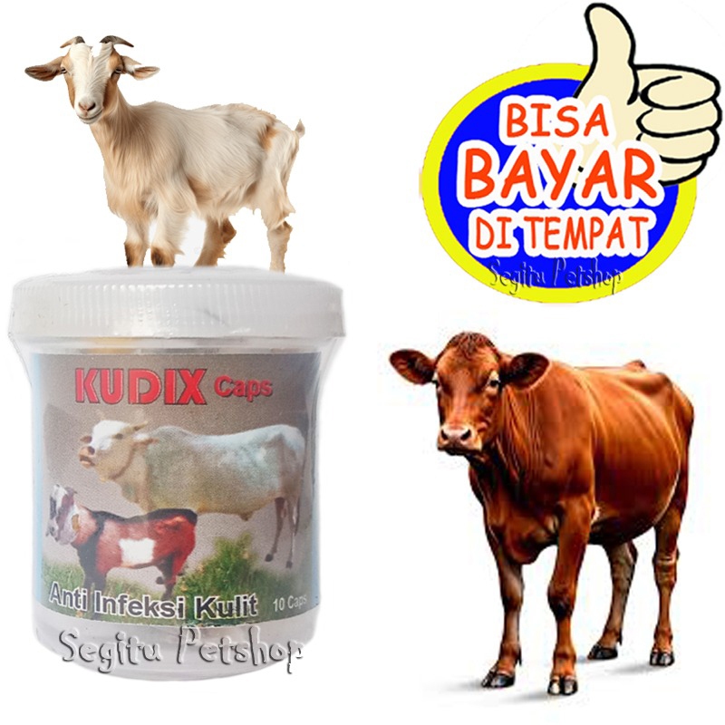 Obat Kambing Sapi Kudix Caps Penghilang Jamur Gudik Korengan
