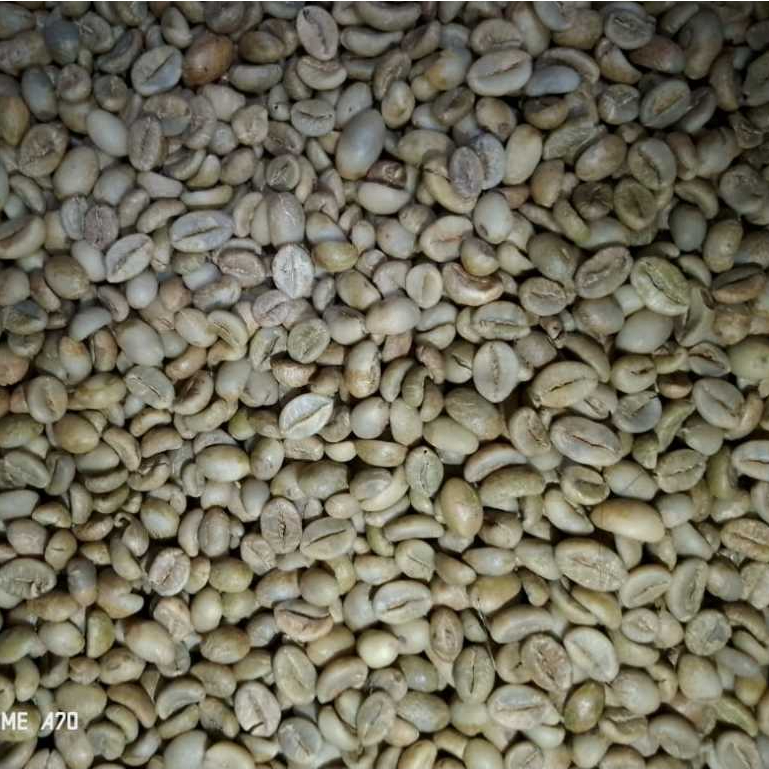 

250Gr Greenbean Kopi Robusta Gemawang Temanggung ''Grade 1''