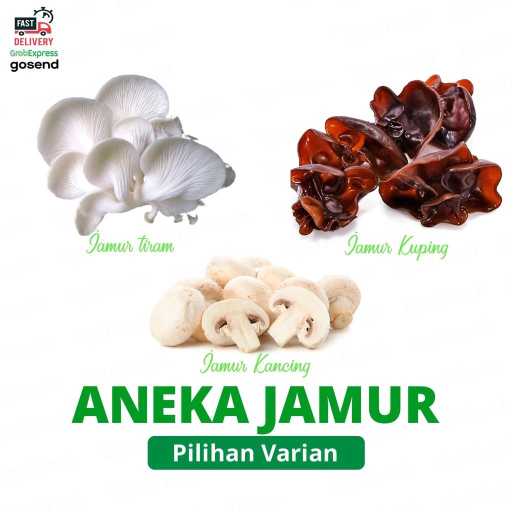 

Aneka Jamur/ Mushroom Fresh - Sayur Sayuran