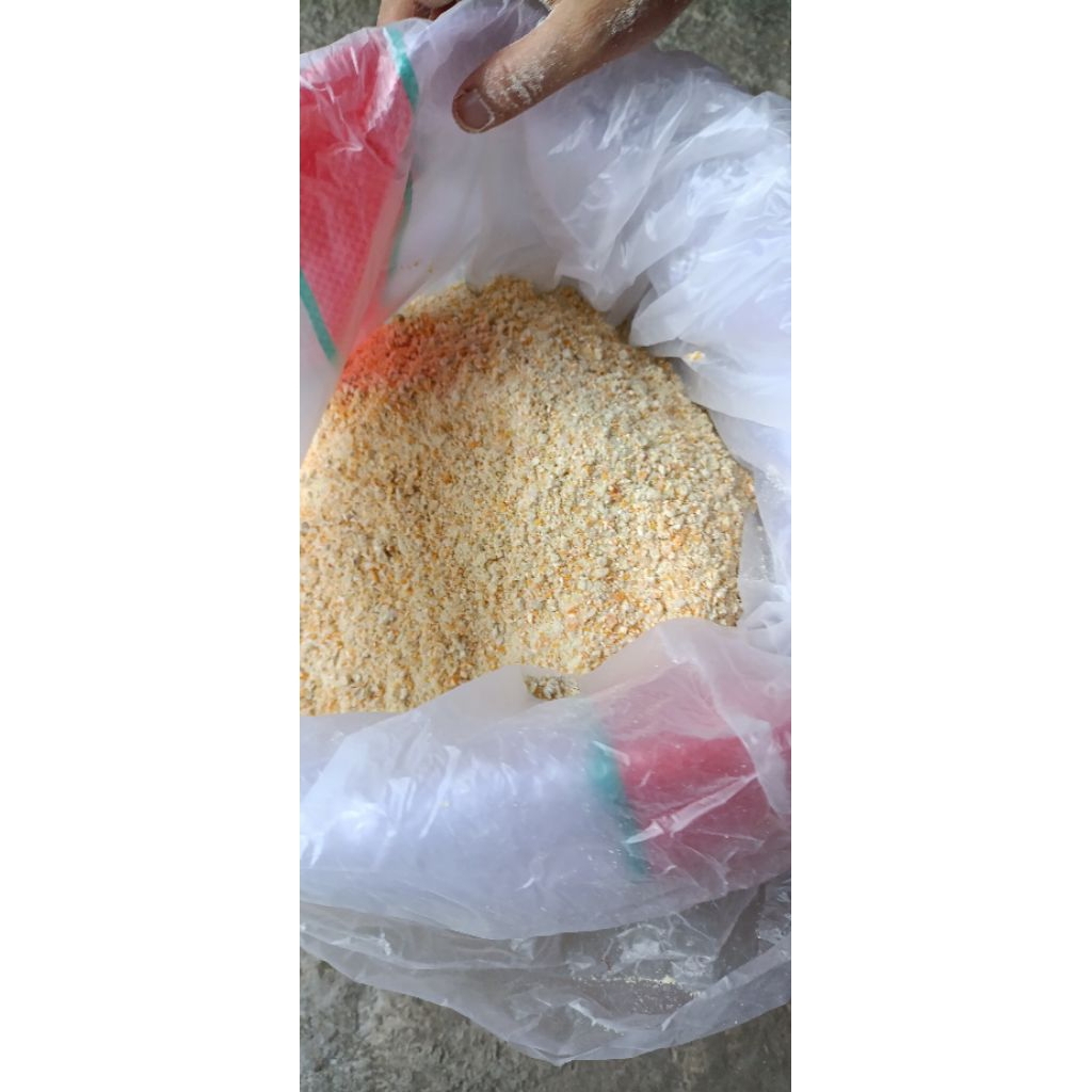 tepung jagung murni pakan ternak