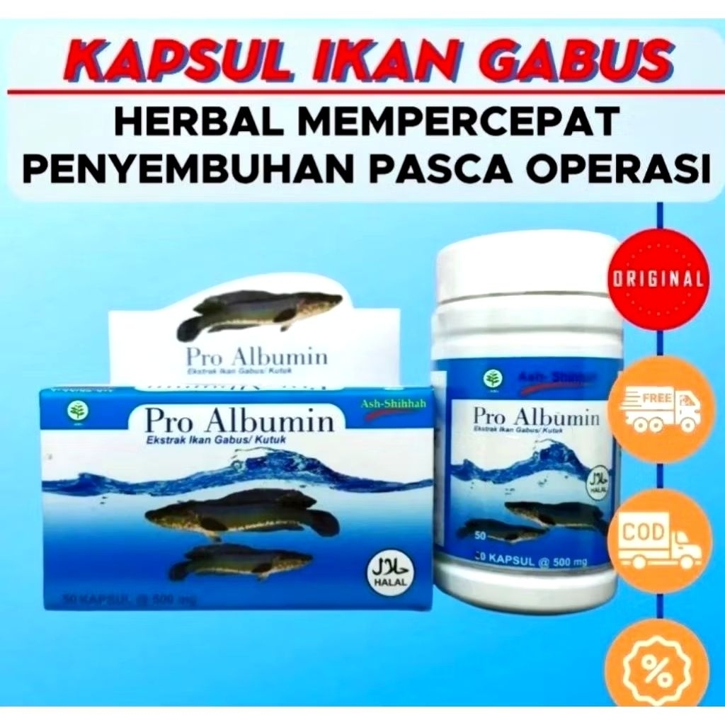 KAPSUL IKAN GABUS KUTUK / PRO ALBUMIN ORIGINAL