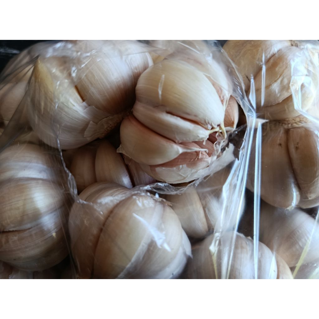 

bawang putih ecer 500gr
