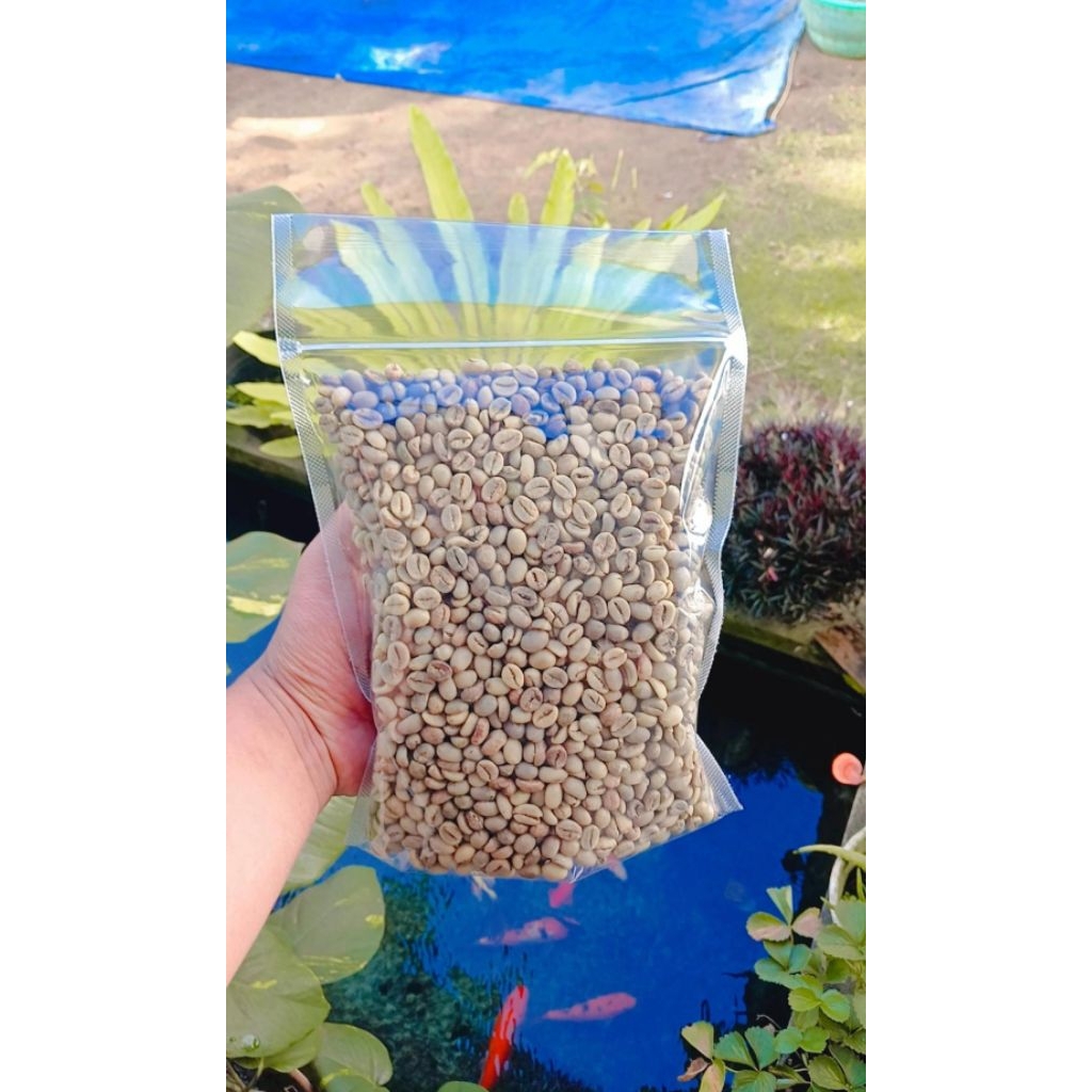 

Paket 5kg lebih MURAH kopi robusta mentah / greanbean robusta/ biji kopi mentah Kopi Argopuro