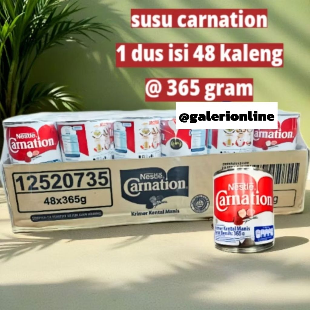 SUSU CARNATION 1 DUS PROMO MURAH