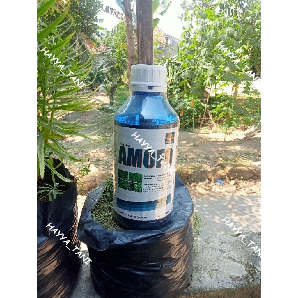 Herbisida AMOFO 150SL