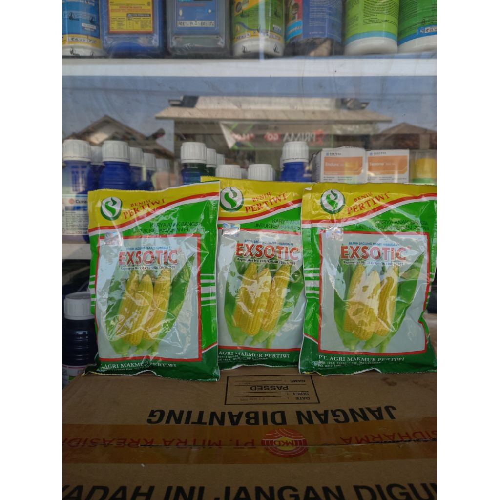 

Benih Jagung Manis Exotic Pertiwi – Panen Cepat, Tahan Penyakit | Original 1750 Butir