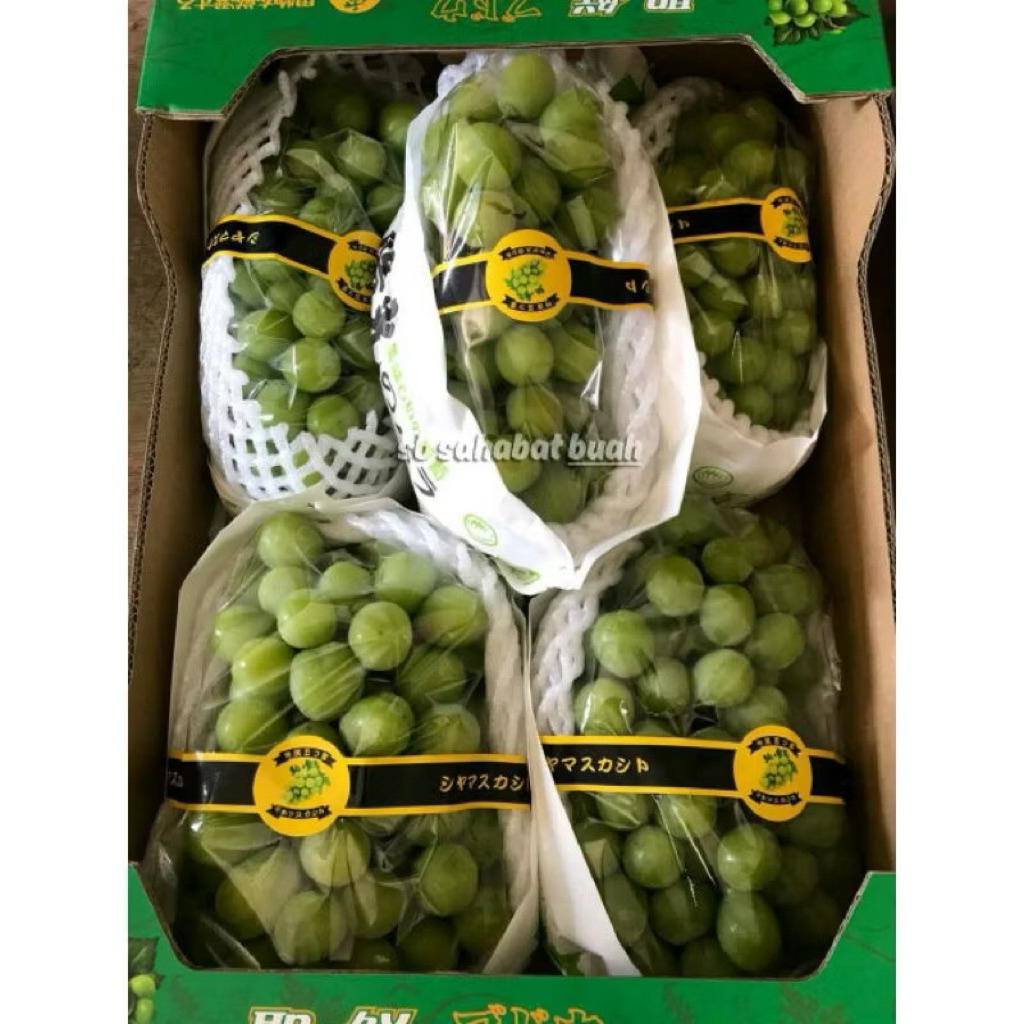 

BUAH ANGGUR HIJAU JEPANG SHINE MUSCAT