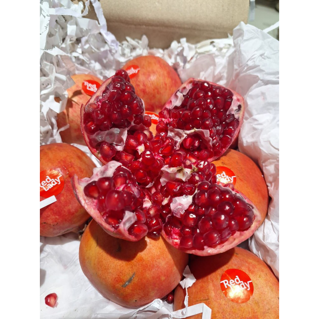 

delima merah sultan import india 1pcs kirim instan malang