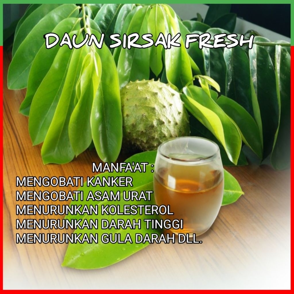 

Daun Sirsak Fresh 100 Lembar