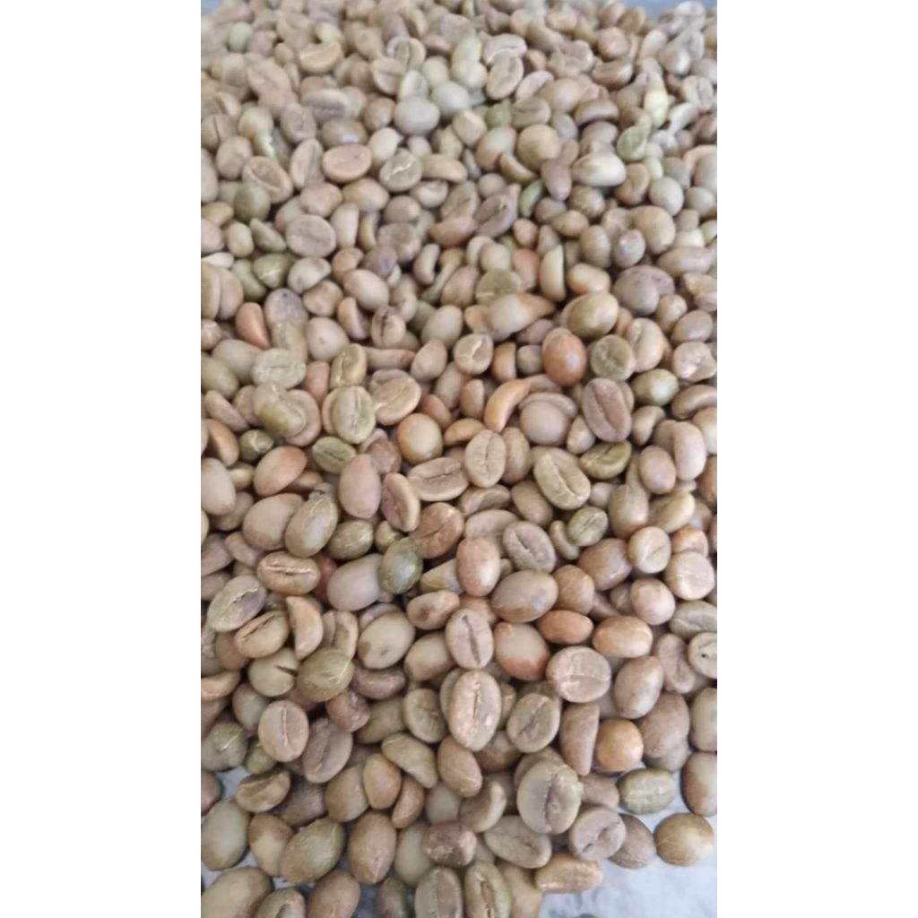 

Green Bean Robusta Asalan Super