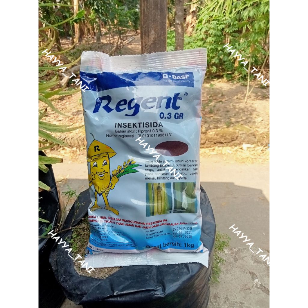 REGENT Insektisida