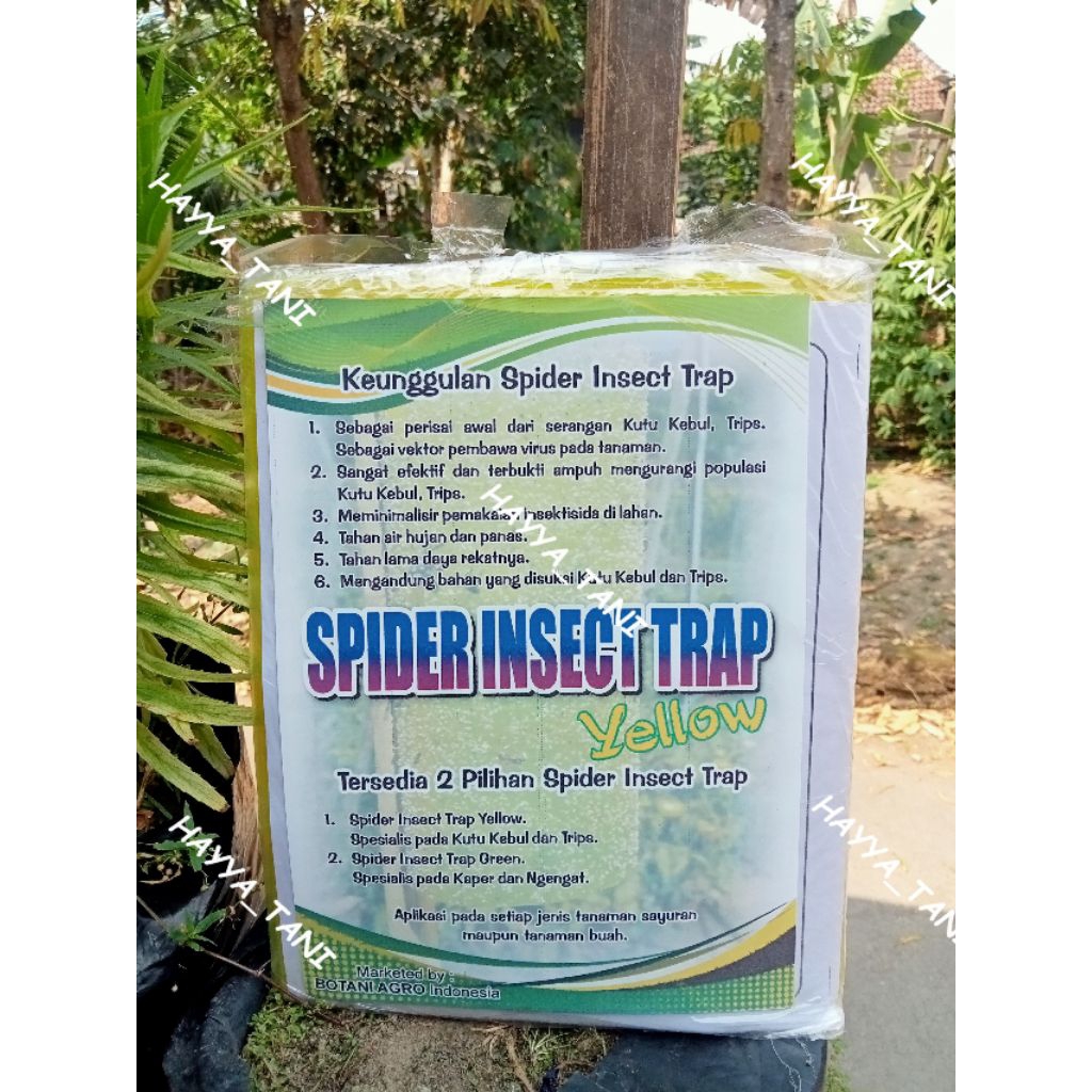 SPIDER INSECT TRAP YELLOW 100 lembar