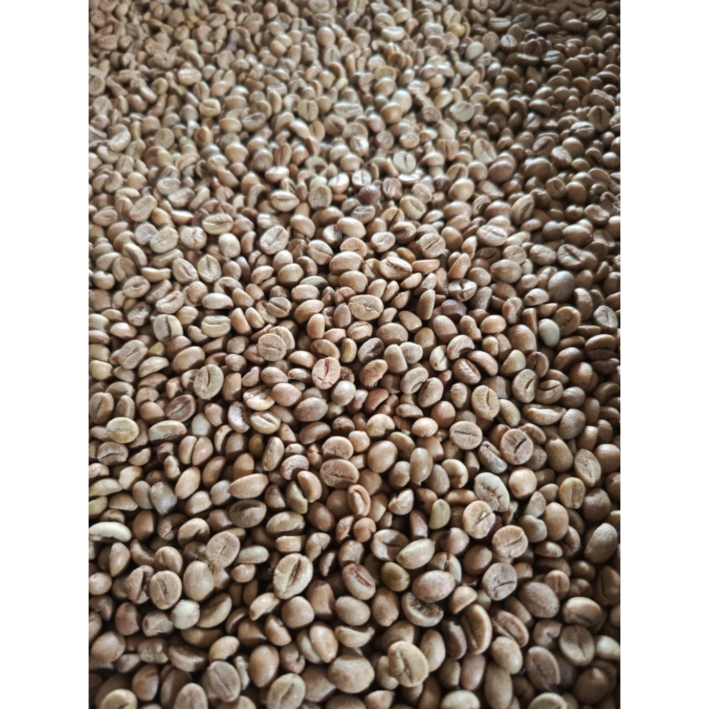 

FINE ROBUSTA SMALL BEANS 1 kg