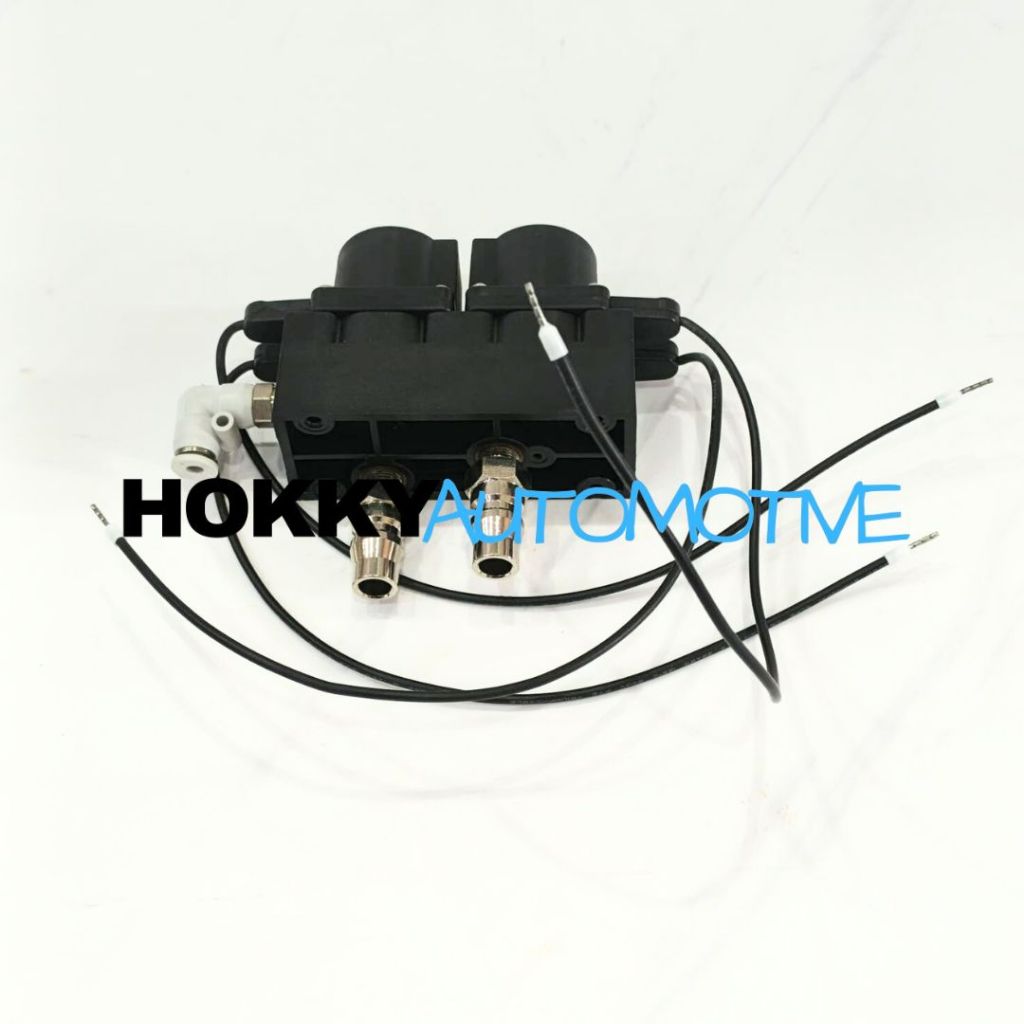 solenoid valve assembly inflator kernel / solenoid valve assembly mesin nitrogen kernel