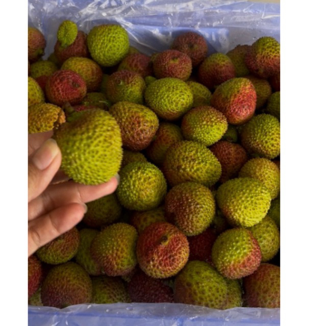 

Leci madu jumbo 500gr, (khusus pembelian JAWA TIMUR, yaitu Malang raya-Batu, dan sekitarnya)