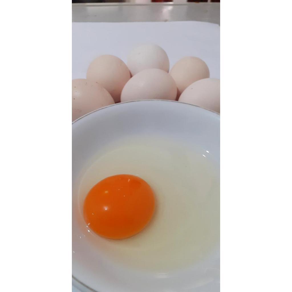 

Telur Ayam Kampung Omega 30 Butir