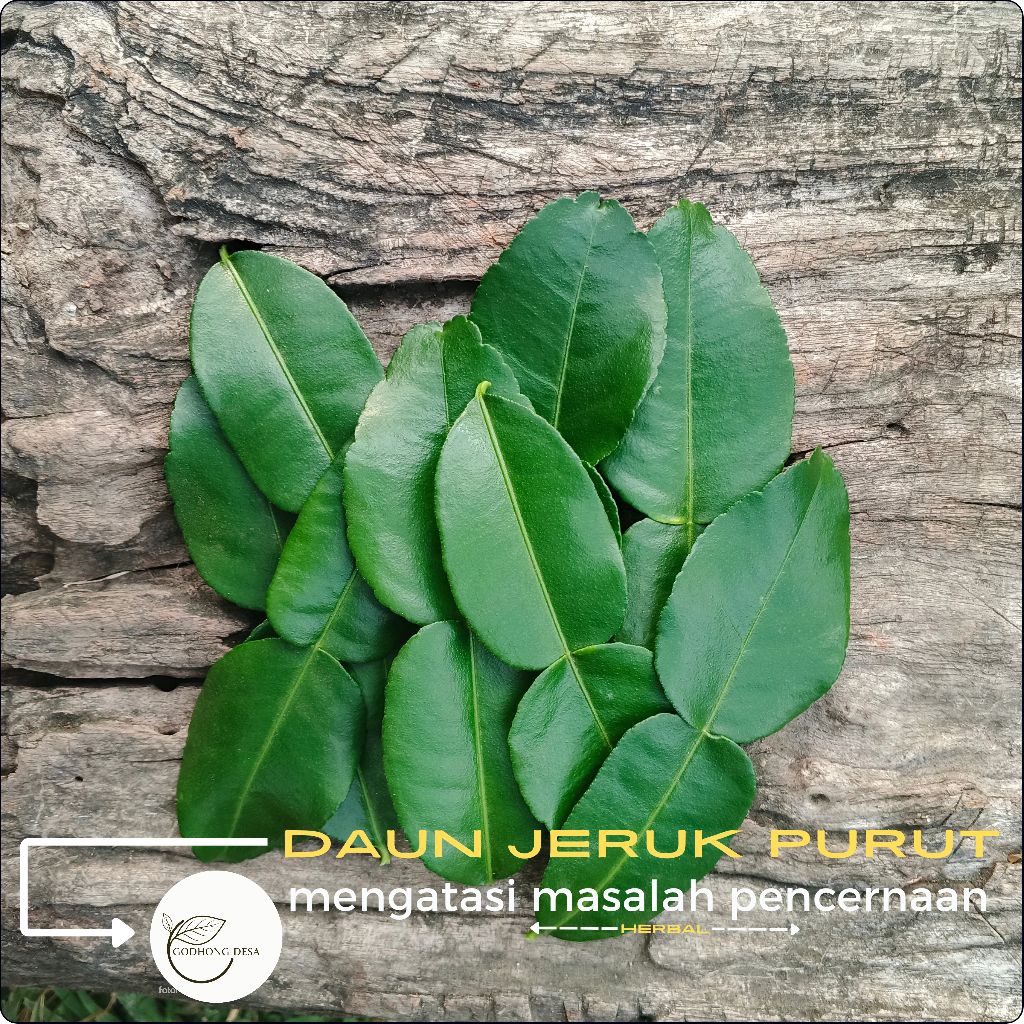 

DAUN JERUK PURUT bumbu dapur 50-250 gr