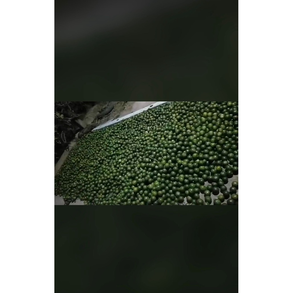 

JERUK SONKIT KHAS PONTIANAK harga 1000g