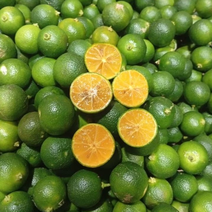 

1KG JERUK FRESH JERUK SONKIT JERUK KASTURI JERUK KALIMASI JERUK LRMON CUI FRESH