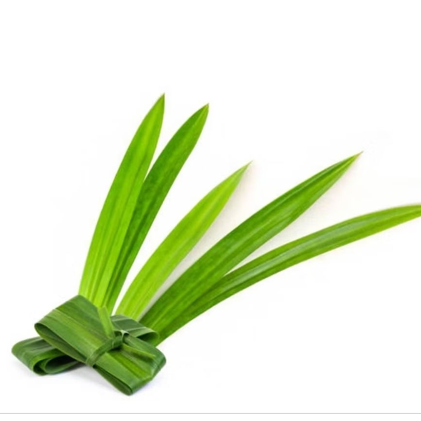 

Daun Pandan Wangi 1 Iket Siap Pakai Dan Segar