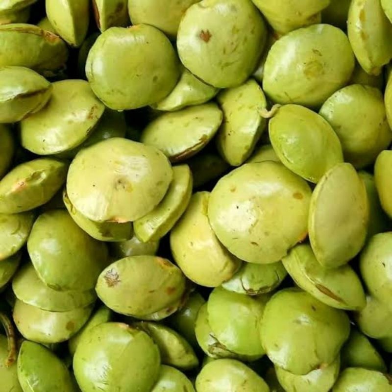 

Promo jengkol muda 1kg segar kwalitas terbaik murah meriah ( belum dikupas )