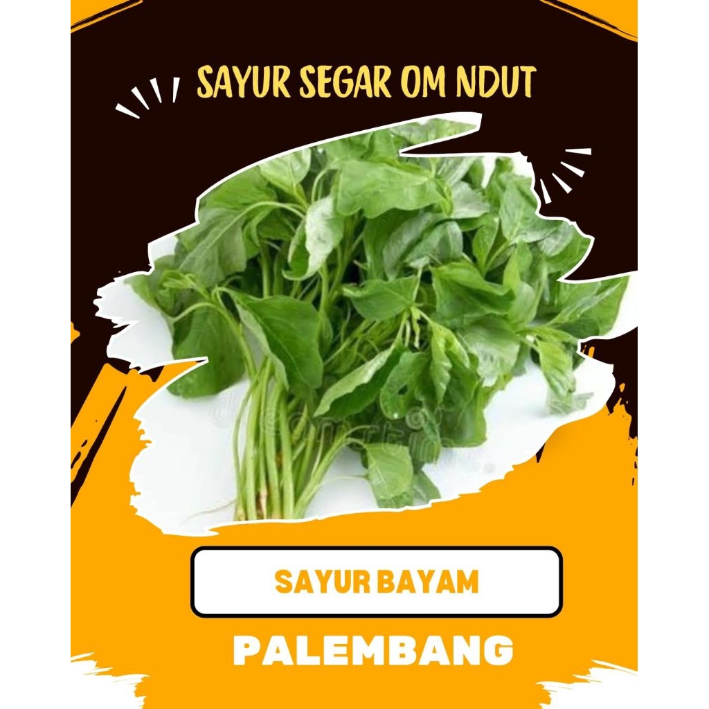 

SAYUR BAYAM PER IKAT - INSTAN PALEMBANG