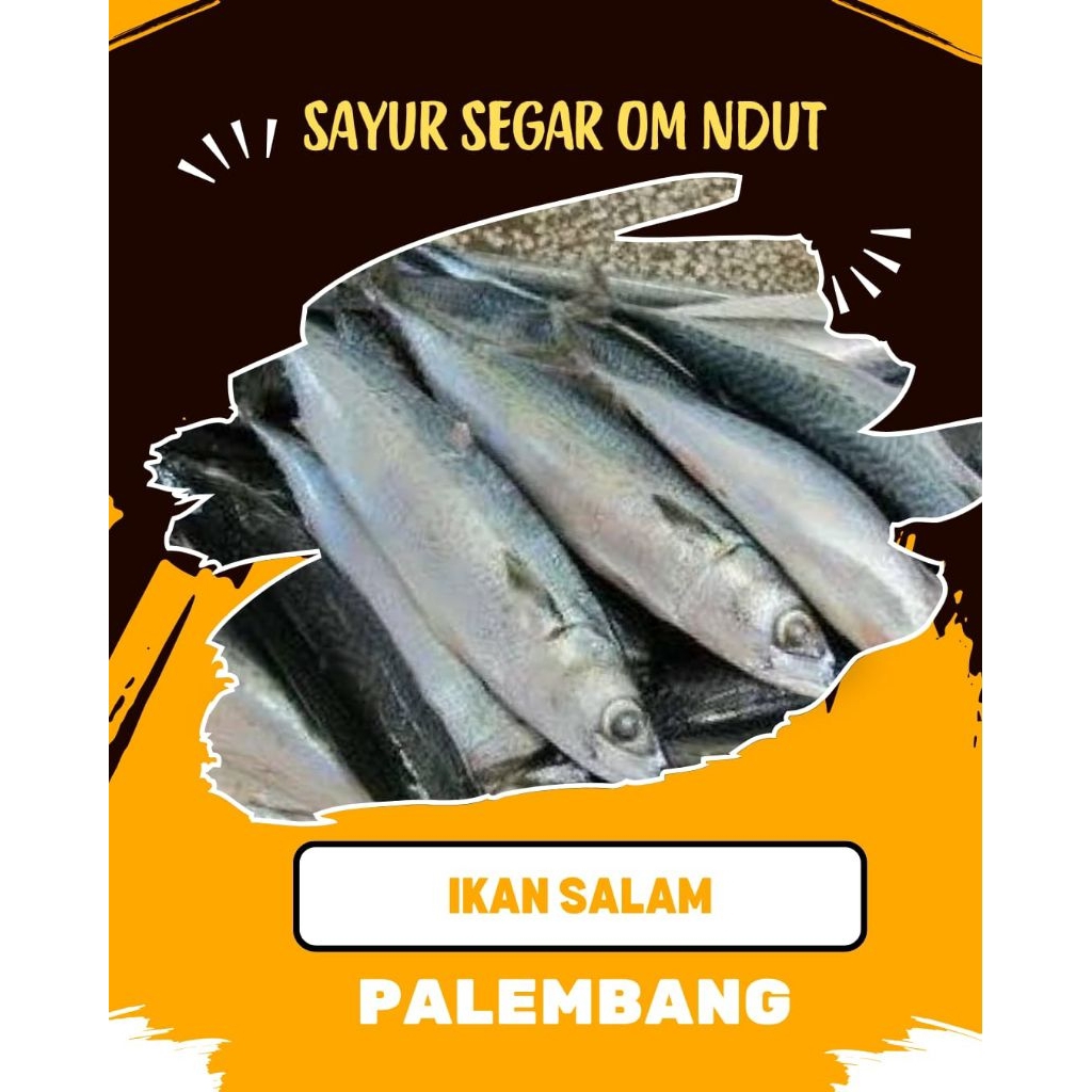 

IKAN SALAM / SALEM - INSTAN PALEMBANG