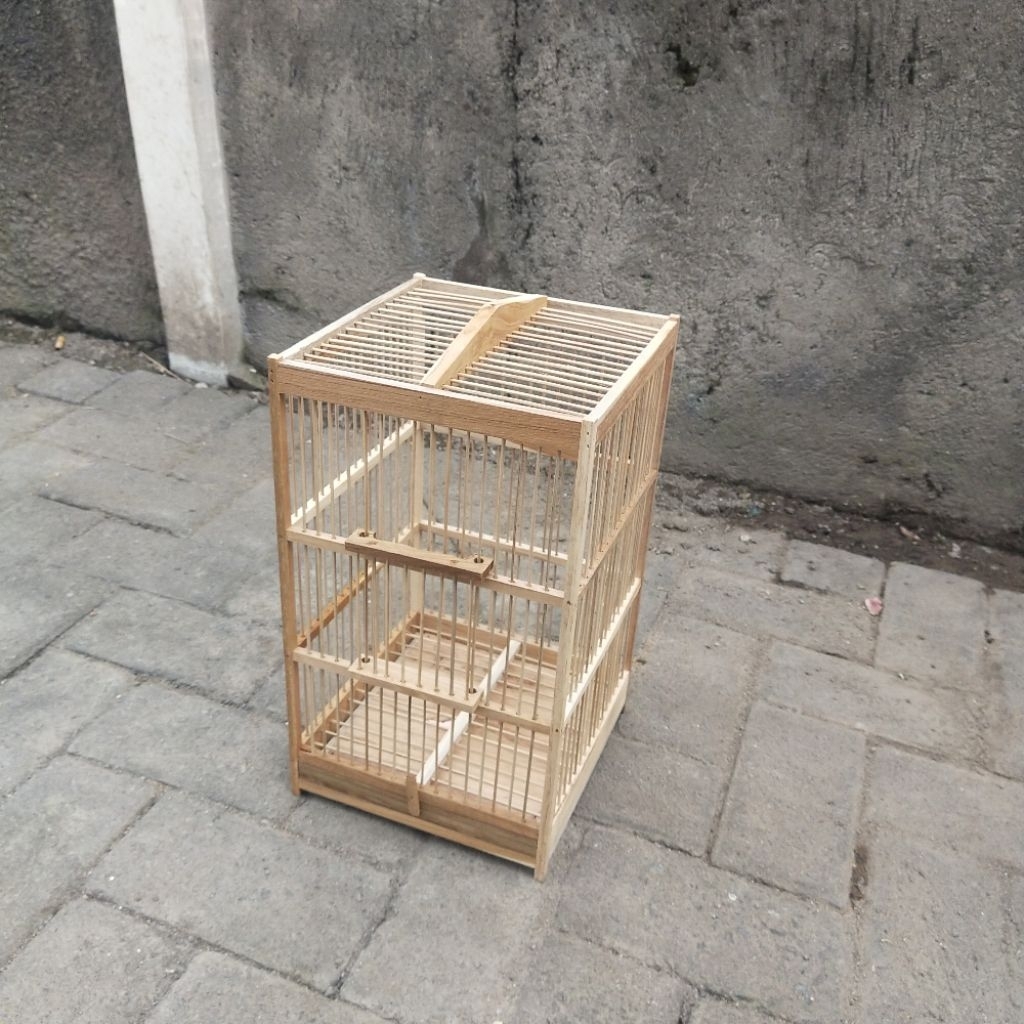 Sangkar burcil sangkar prenjak sangkar ciblek