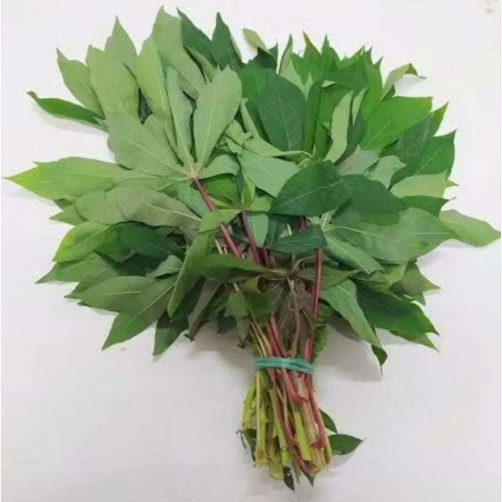 

sayur dayn singkong muda 1 ikat bppn