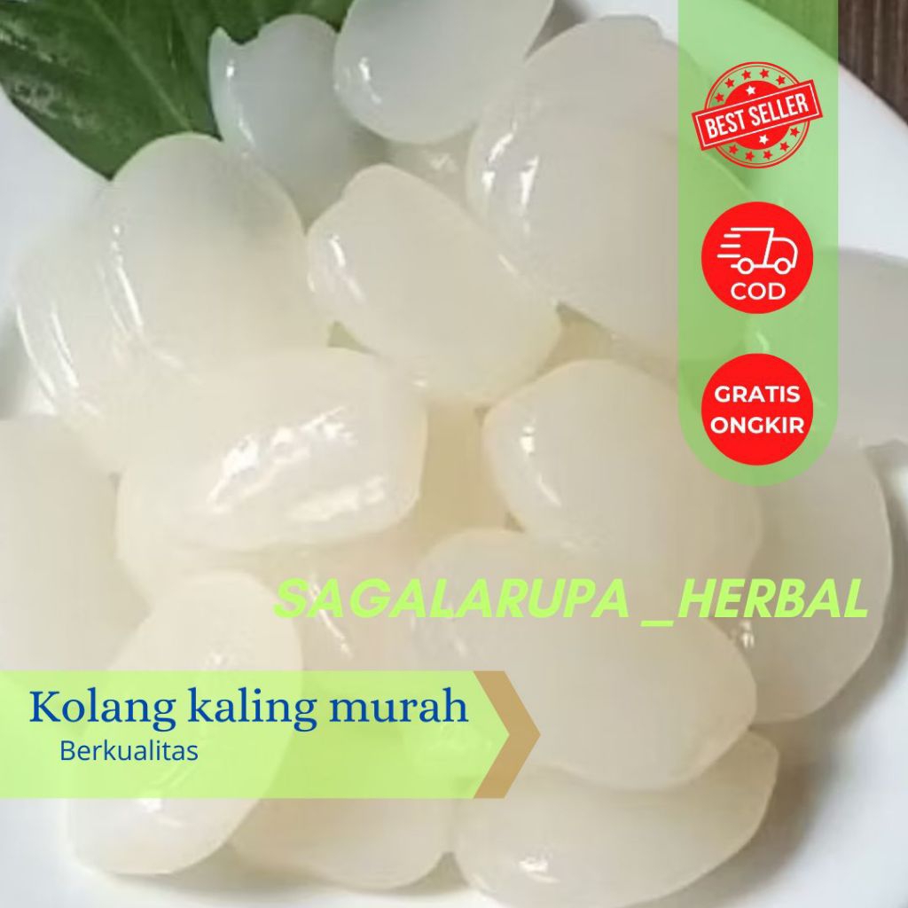 

KOLANG KALING SEGAR/CANGKALENG SEGAR FRESH 500 GRAM