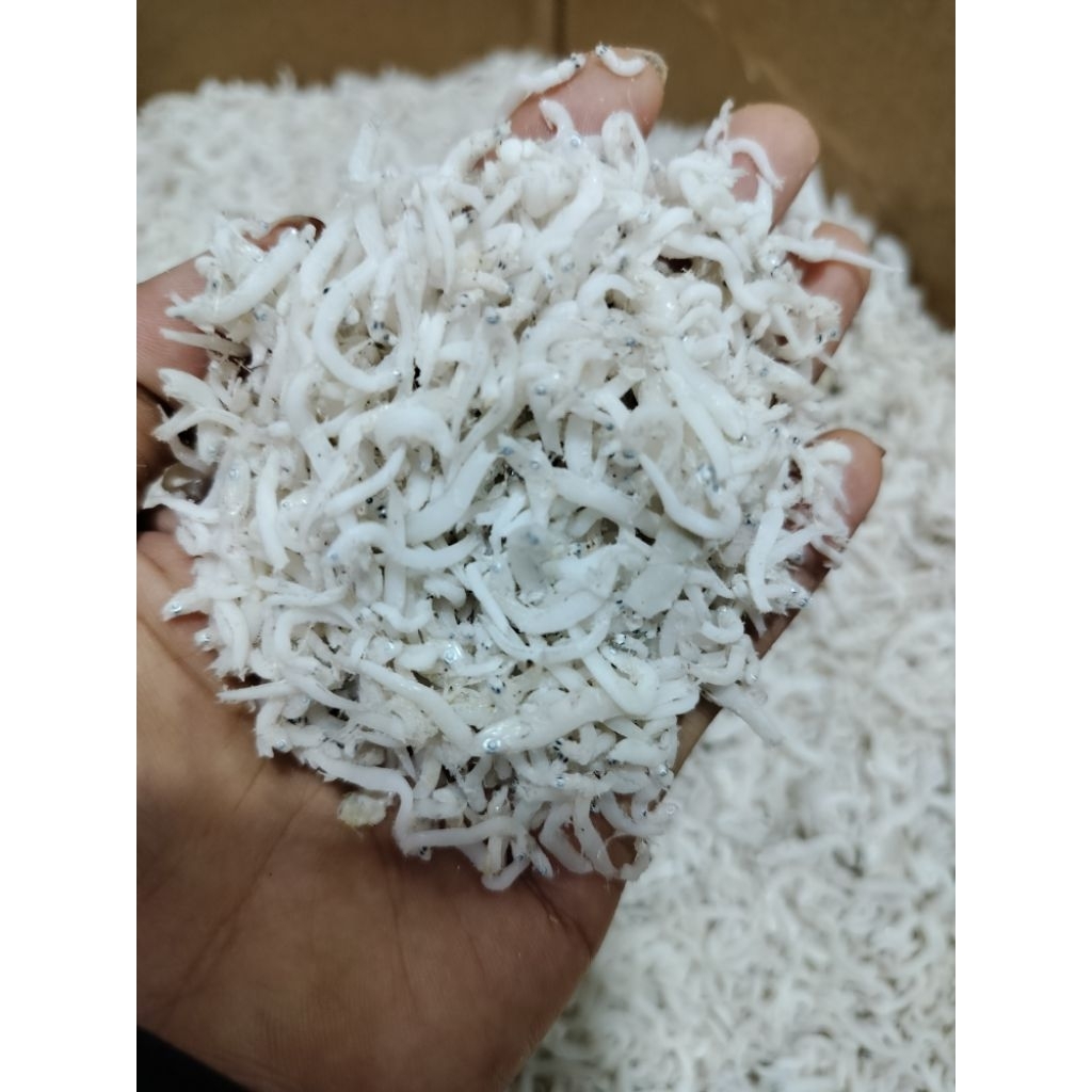 

TERI NASI MEDAN / Teri nasi premium ♛1kg