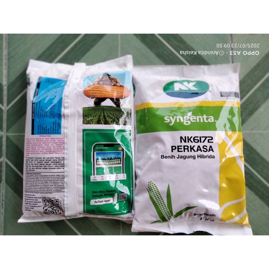BENIH JAGUNG NK6172 PERKASA SYNGENTA 1KG