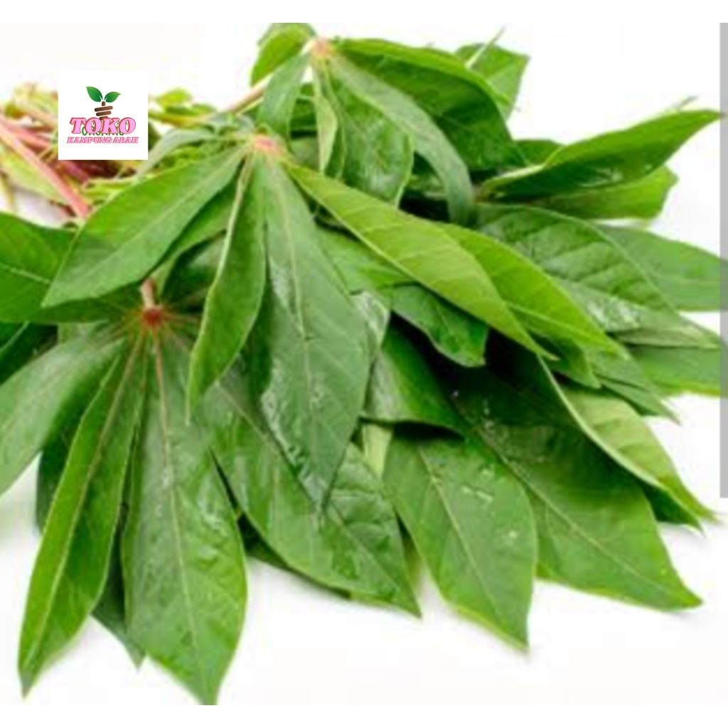

daun singkong segar 1kg